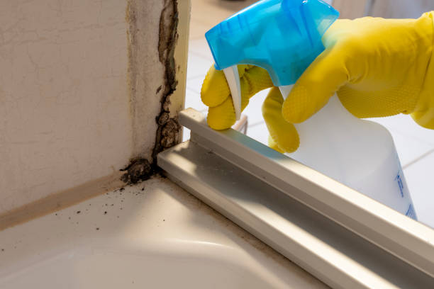 Best Water Damage Restoration  in Fitchburg, MA