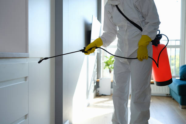 Best Mold Remediation  in Fitchburg, MA