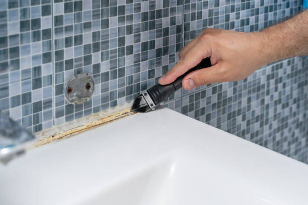 Best Certified Mold Removal  in Fitchburg, MA
